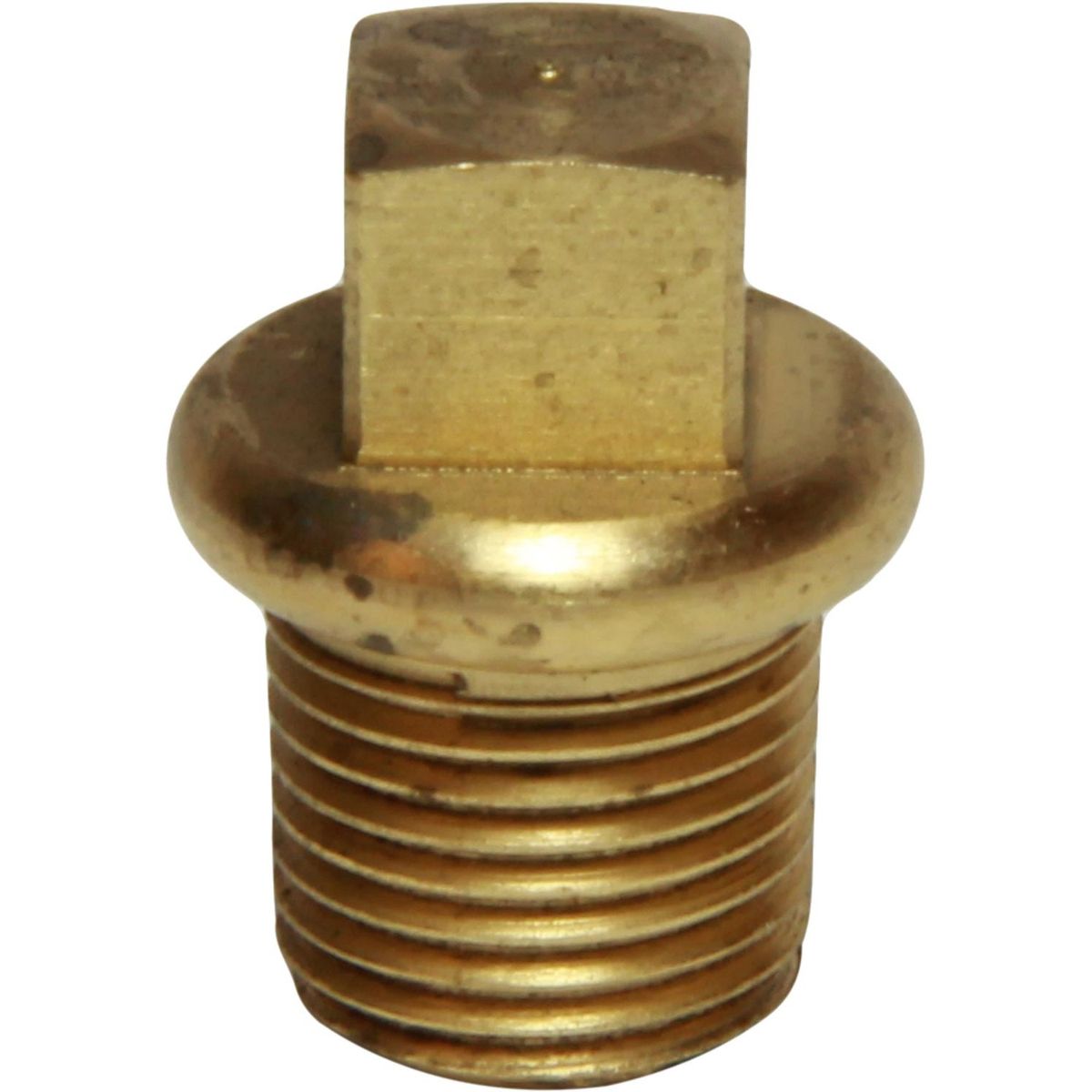 Maestrini Brass Tapered Plug (1/8" BSPT Male) 407750