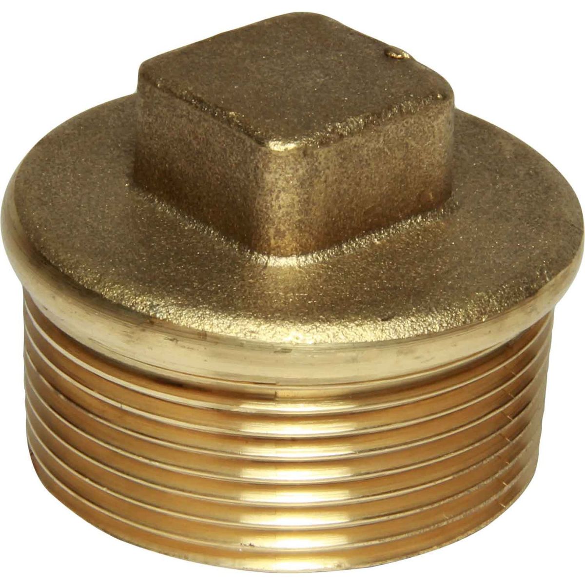 Maestrini Brass Tapered Plug (1-1/2" BSPT Male) 407757