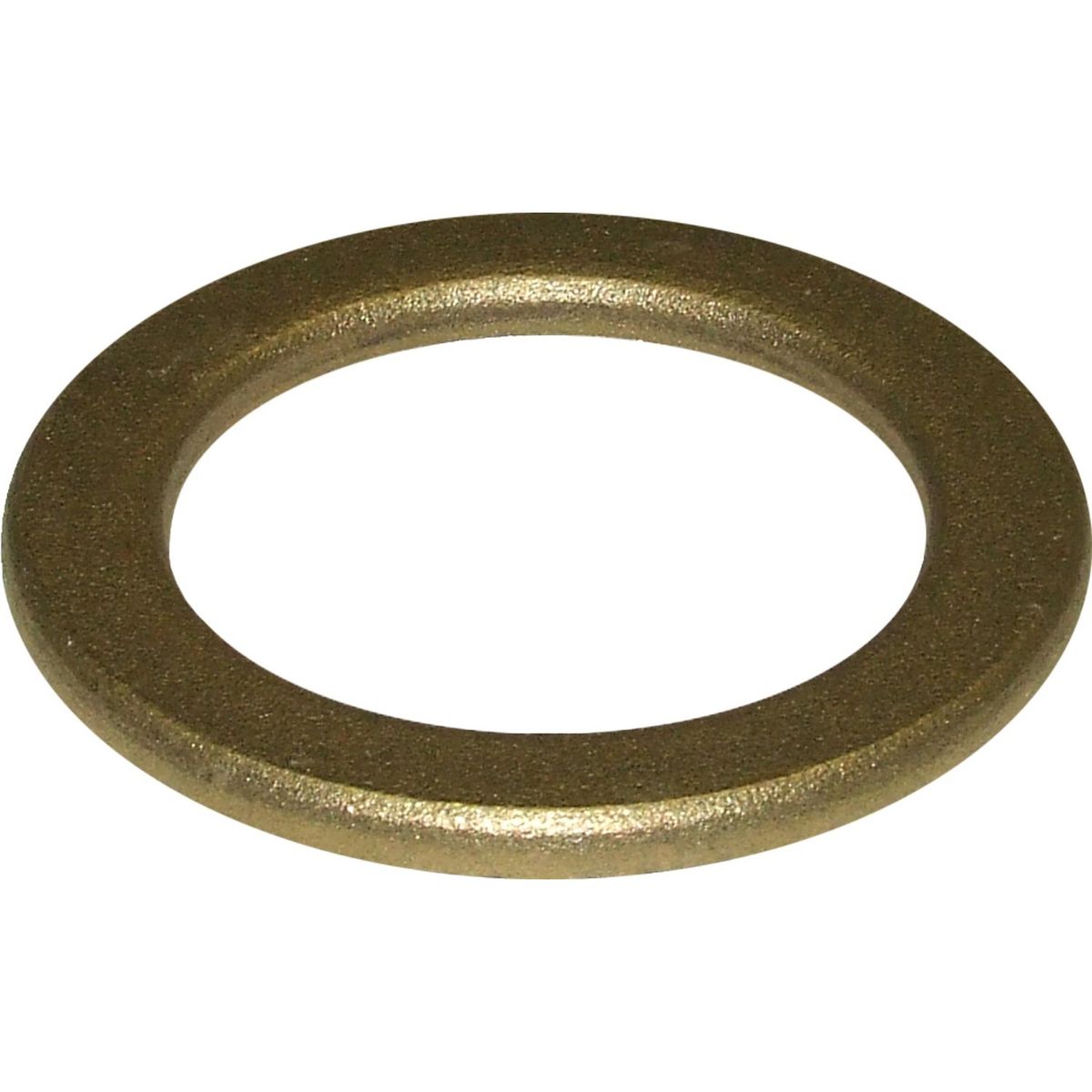 Maestrini Brass Washer (2" BSP Male) 407808