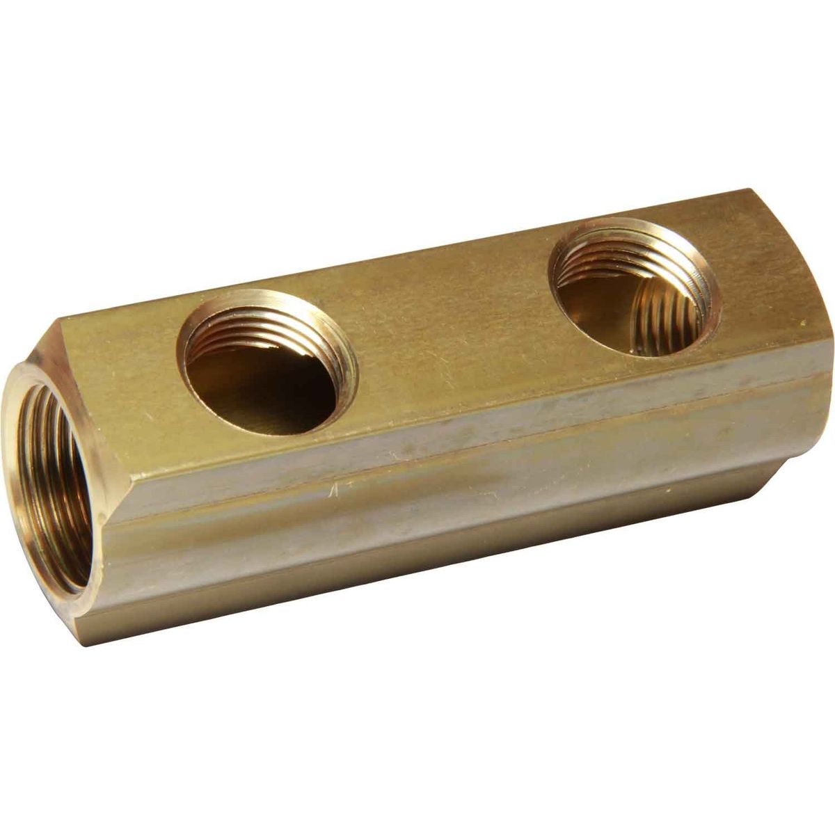 Maestrini Brass Female Pipe Manifold (3/4" BSP with 2 x 1/2" Inlets) 407902
