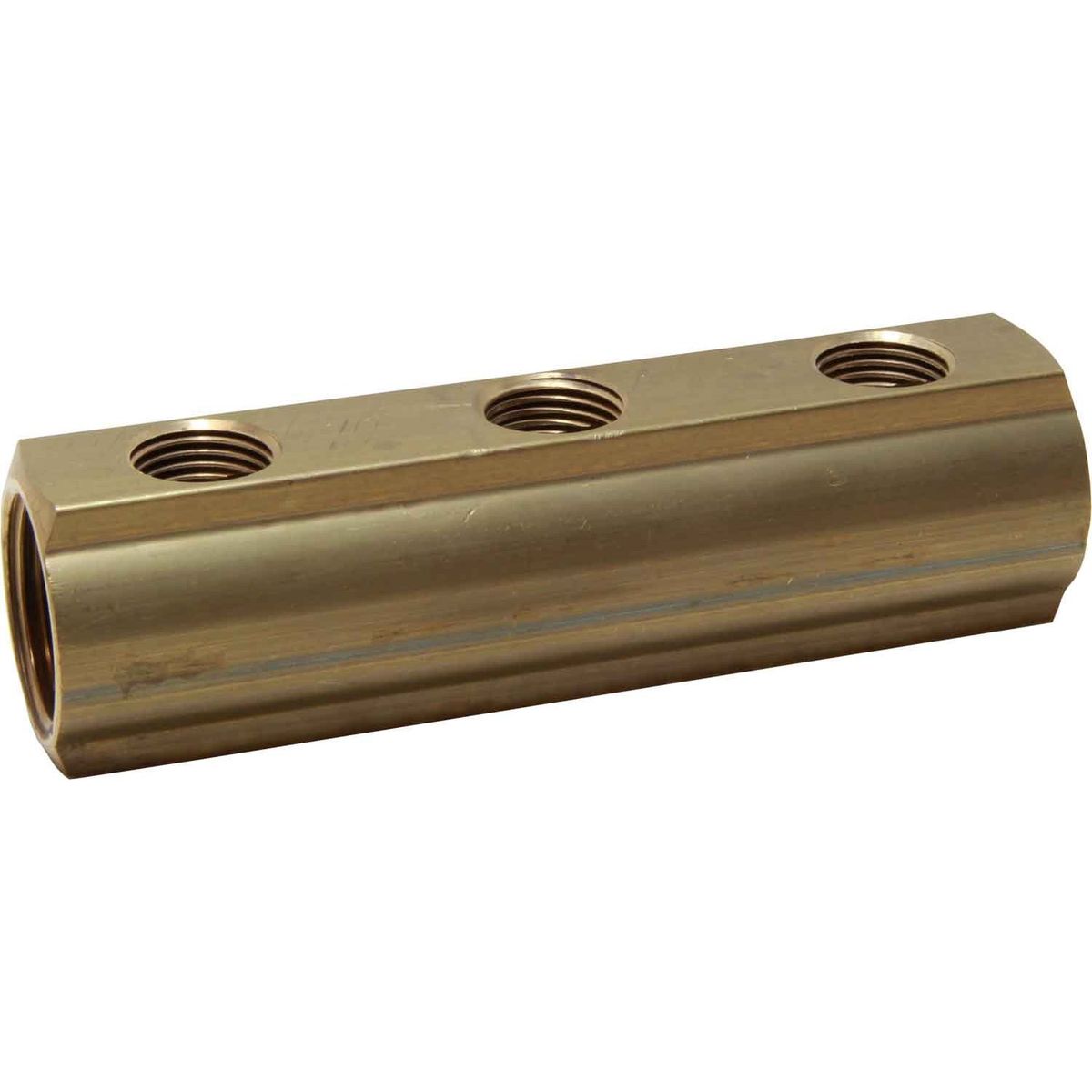 Maestrini Brass Female Pipe Manifold (1" BSP with 3 x 1/2" Inlets) 407913