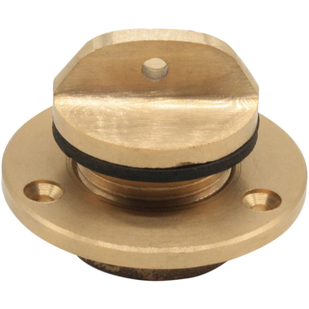Seaflow Bronze Drain Plug Assembly (1" BSP Male Thread) 407985