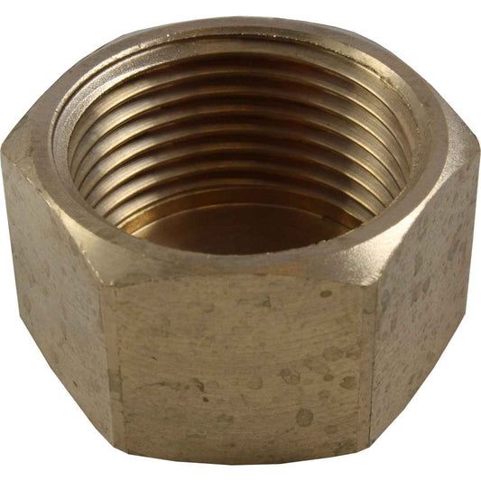 Maestrini Bronze Blanking Cap (1" BSP Female) 415705