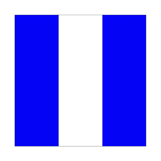 NAVAL Numeral Flag 9 - Special Order