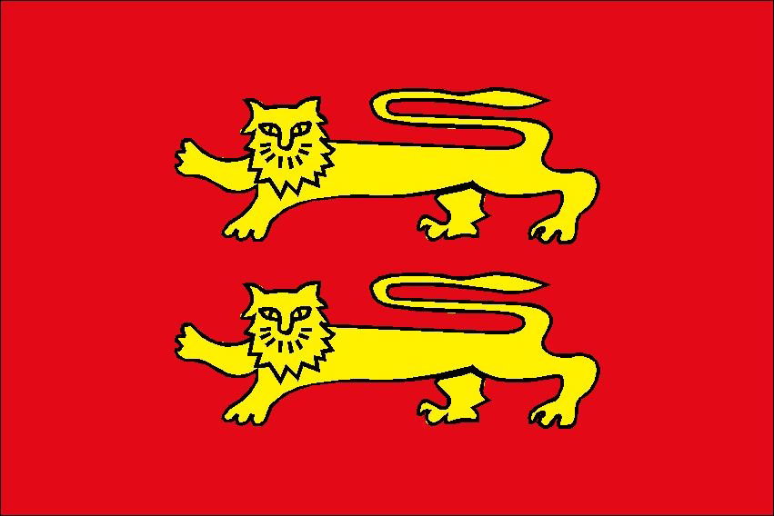 Normandy Courtesy Flag 30 x 45cm