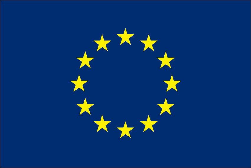 European Union Flag 30 x 45cm