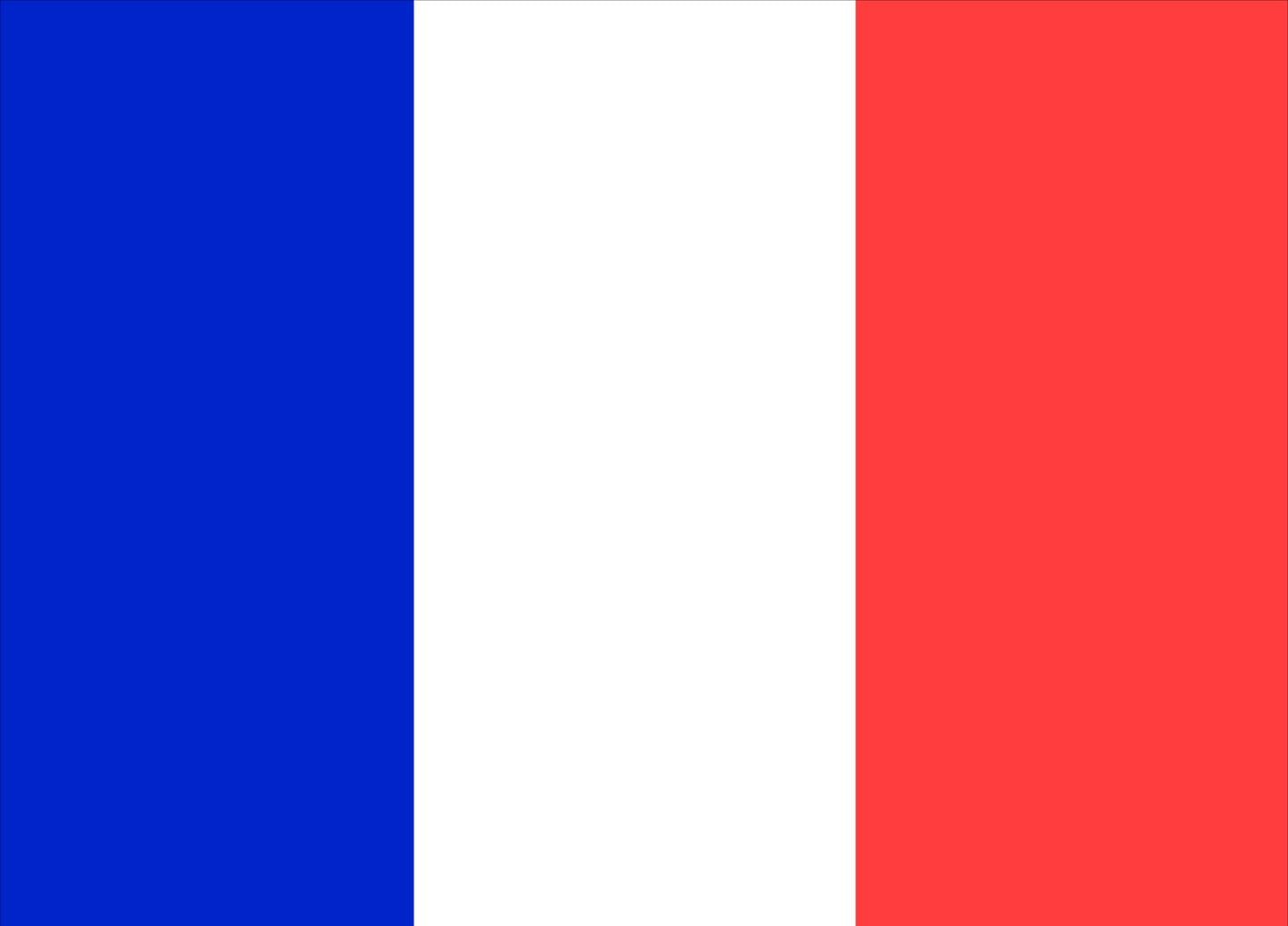 France Courtesy Flag 30 x 45cm