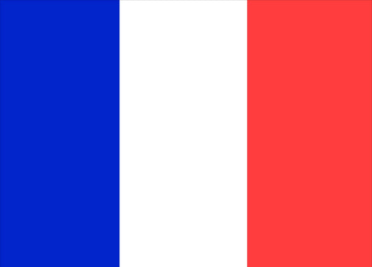 France Courtesy Flag 30 x 45cm