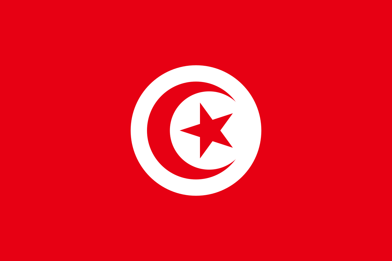 Tunisia Courtesy Flag 30 x 45cm