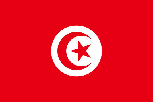 Tunisia Courtesy Flag 30 x 45cm