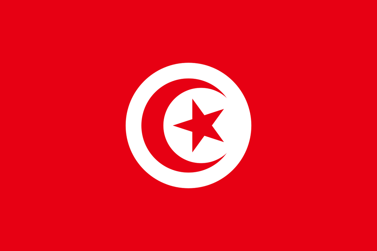 Tunisia Courtesy Flag 30 x 45cm