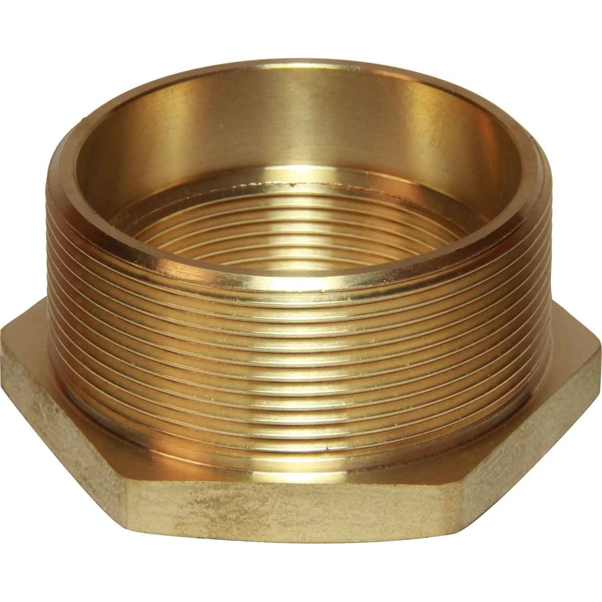 Maestrini DZR Reducing Bush (2-1/2" BSP Male to 2" BSP Female) 434540