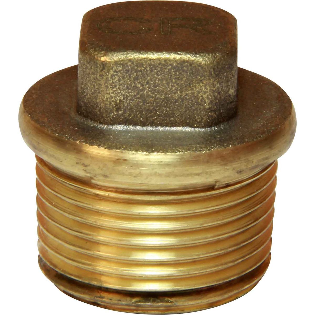 Maestrini DZR Tapered Plug (3/4" BSP Male) 434754