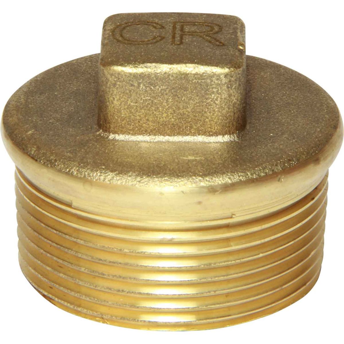 Maestrini DZR Tapered Plug (1-1/2" BSP Male) 434757