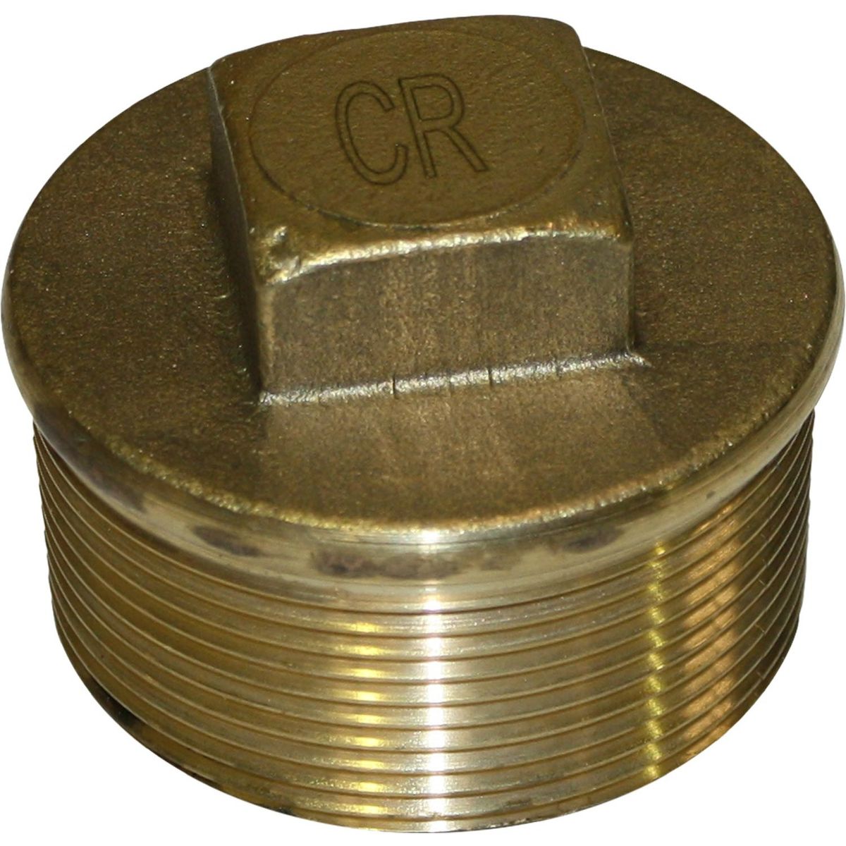 Maestrini DZR Tapered Plug (2" BSP Male) 434758