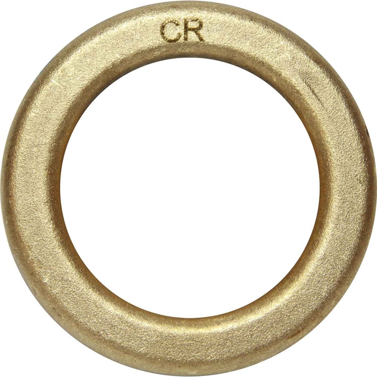 Maestrini DZR Brass Washer (2" BSP Male) 434808