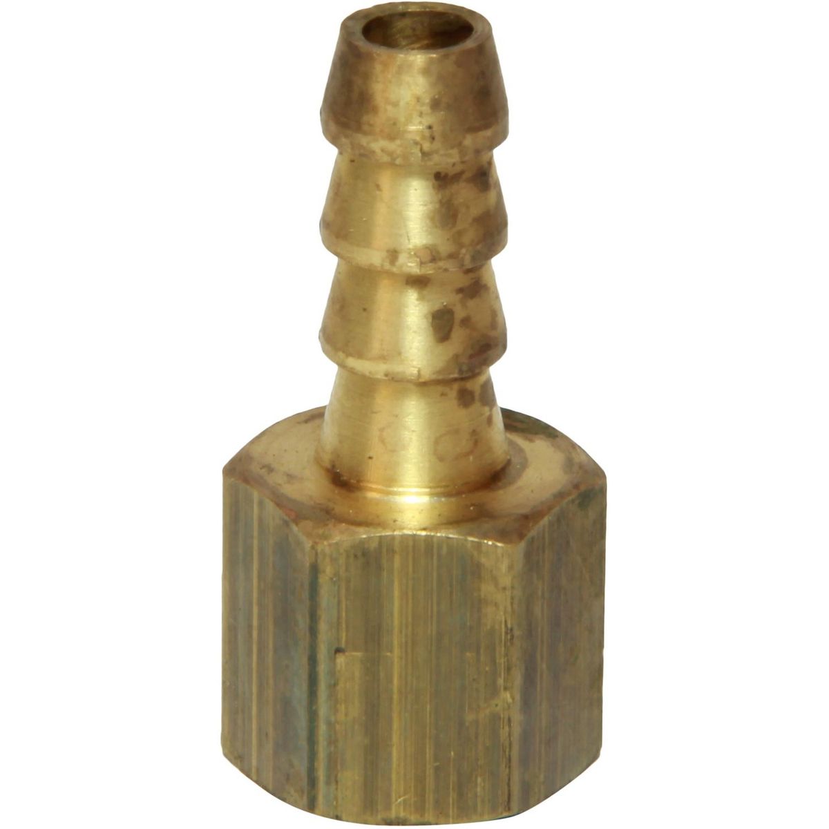 Maestrini DZR Straight Hose Tail (1/4" BSP Female to 8mm Hose) 435214