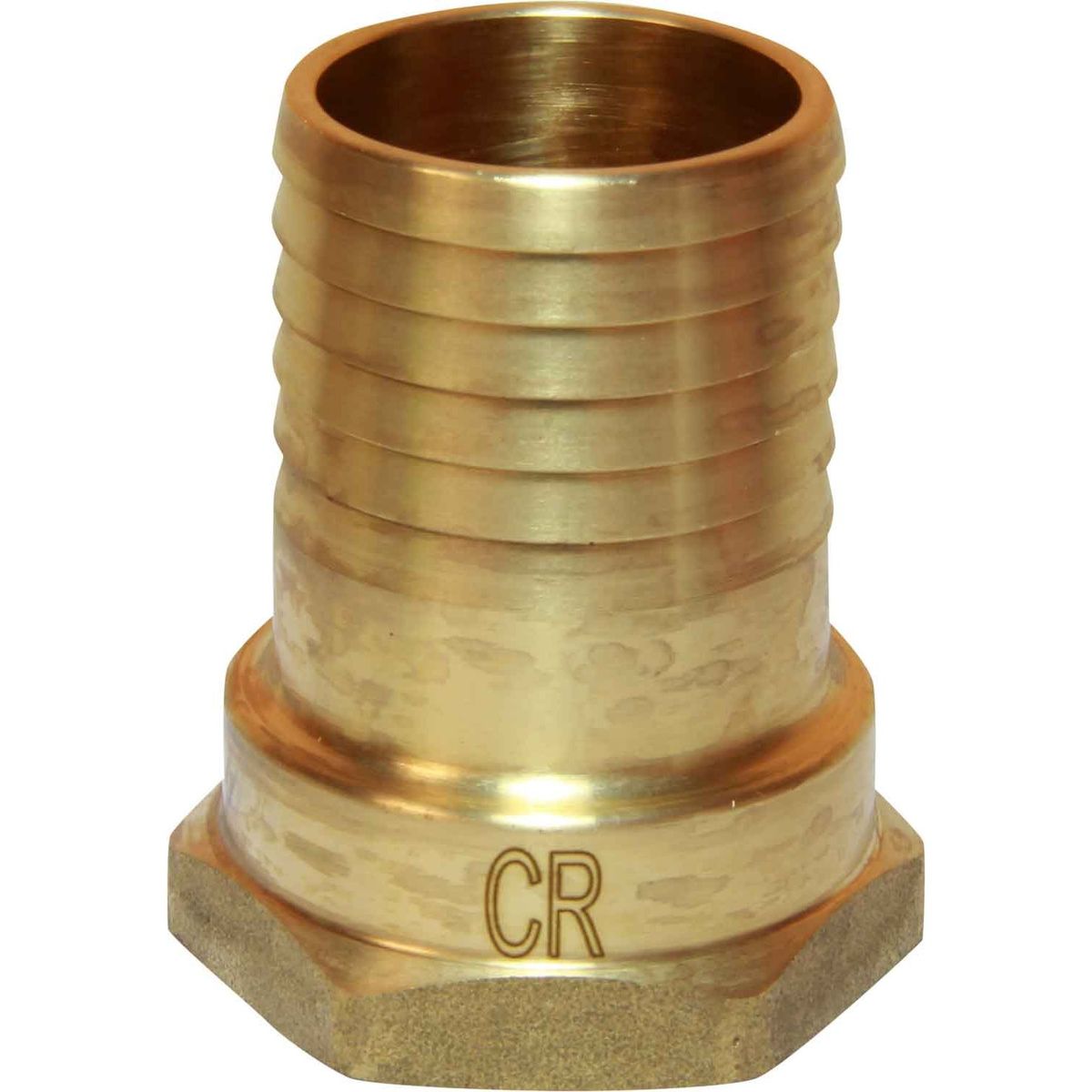 Maestrini DZR Straight Hose Tail (1-1/4" BSP Female to 38mm Hose) 435266