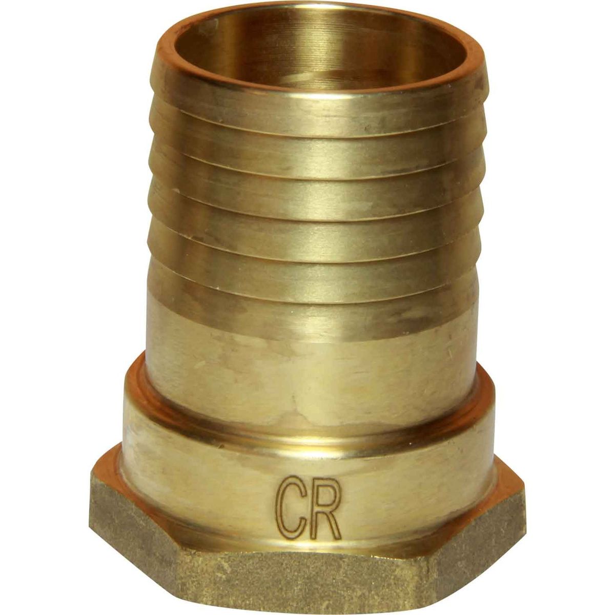 Maestrini DZR Straight Hose Tail (1-1/4" BSP Female to 40mm Hose) 435267