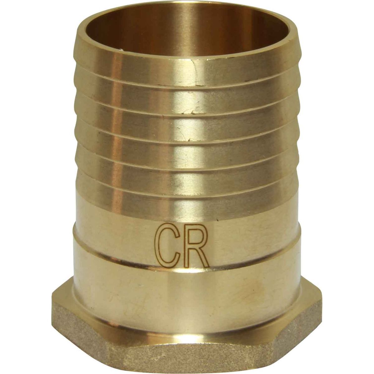 Maestrini DZR Straight Hose Tail (1-1/2" BSP Female to 50mm Hose) 435278