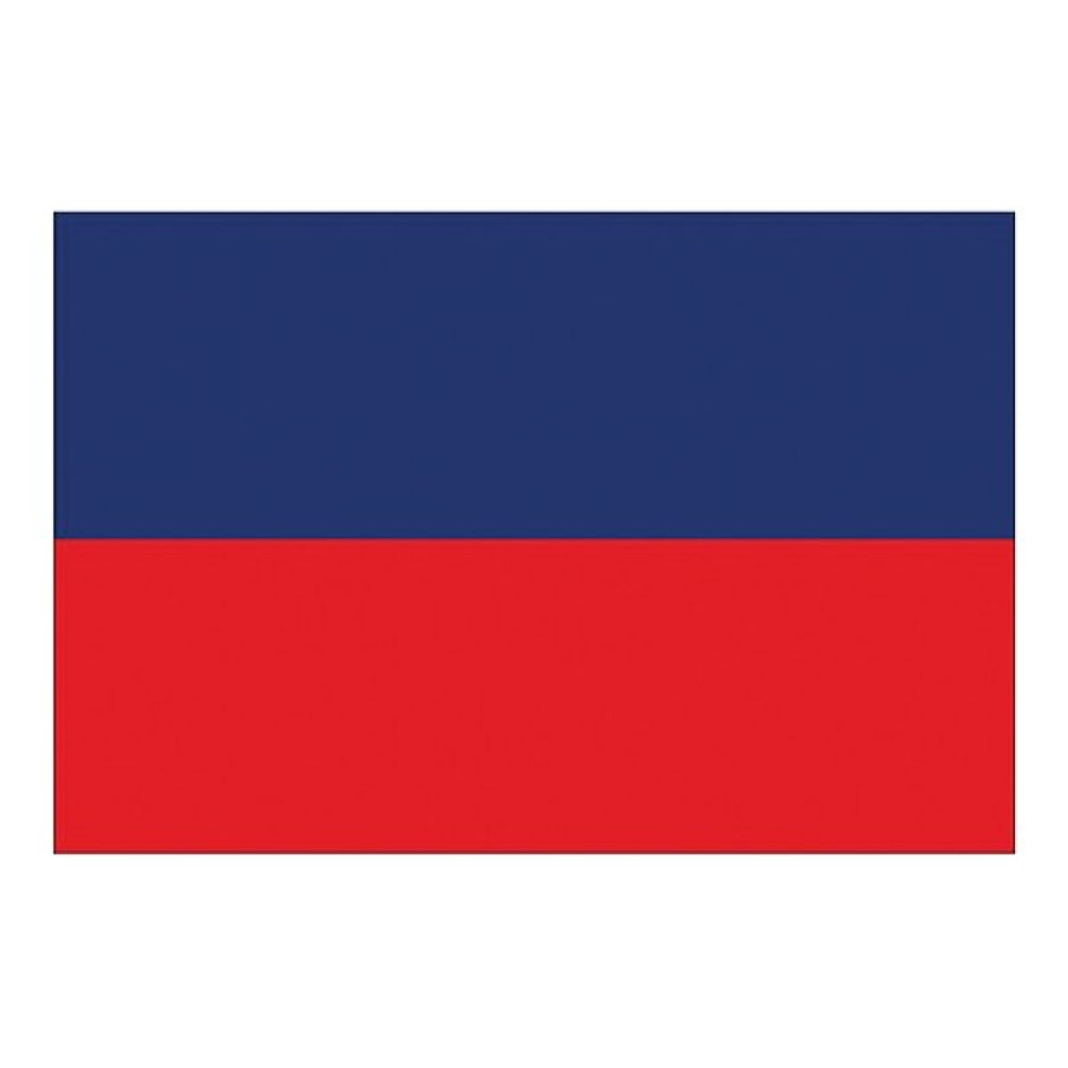 Flag International Code Signal E (30 x 45cm)