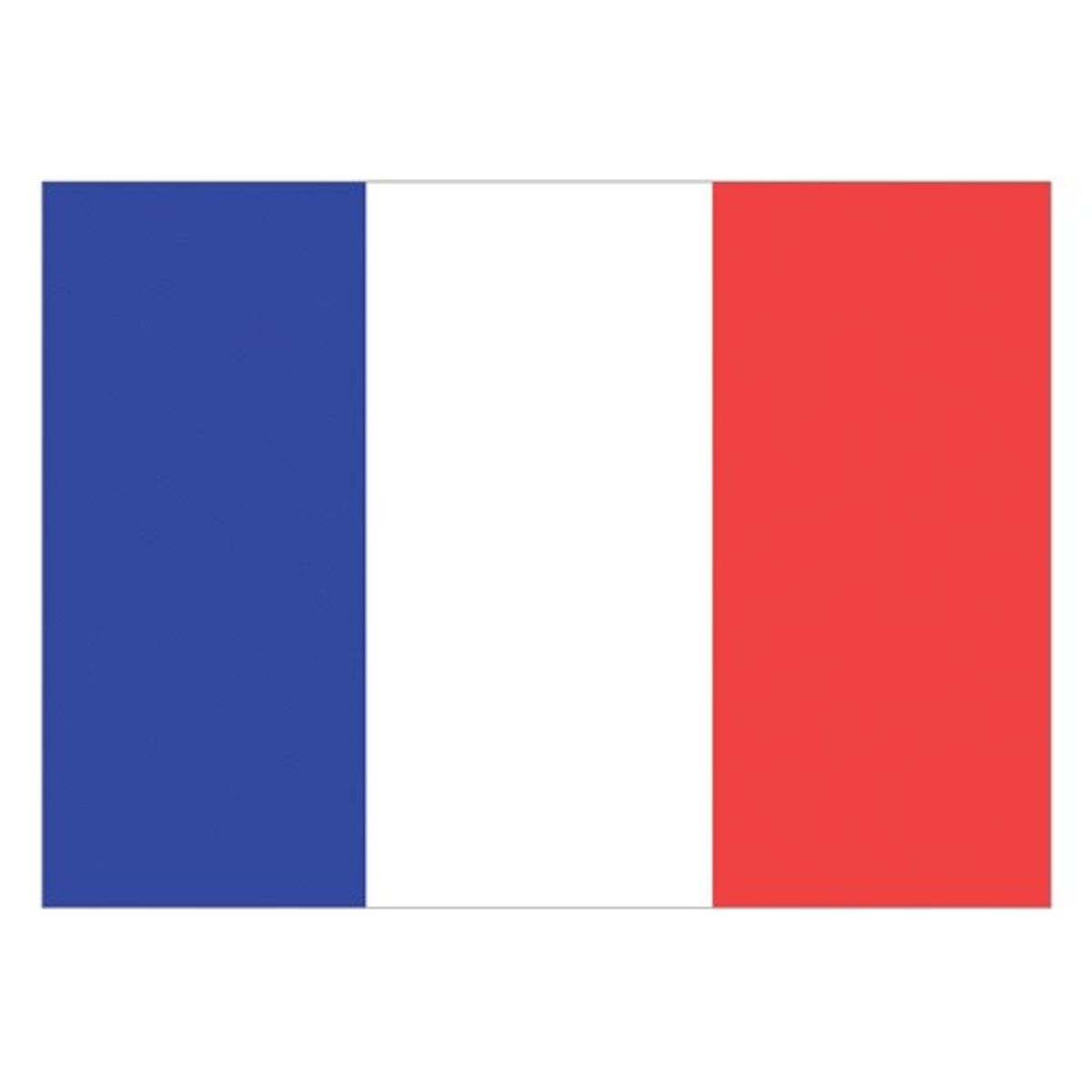 Flag France (30 x 45cm)