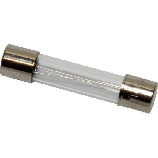 AMC Standard Glass Fuse (10 Amp / 5 Pack) 714210