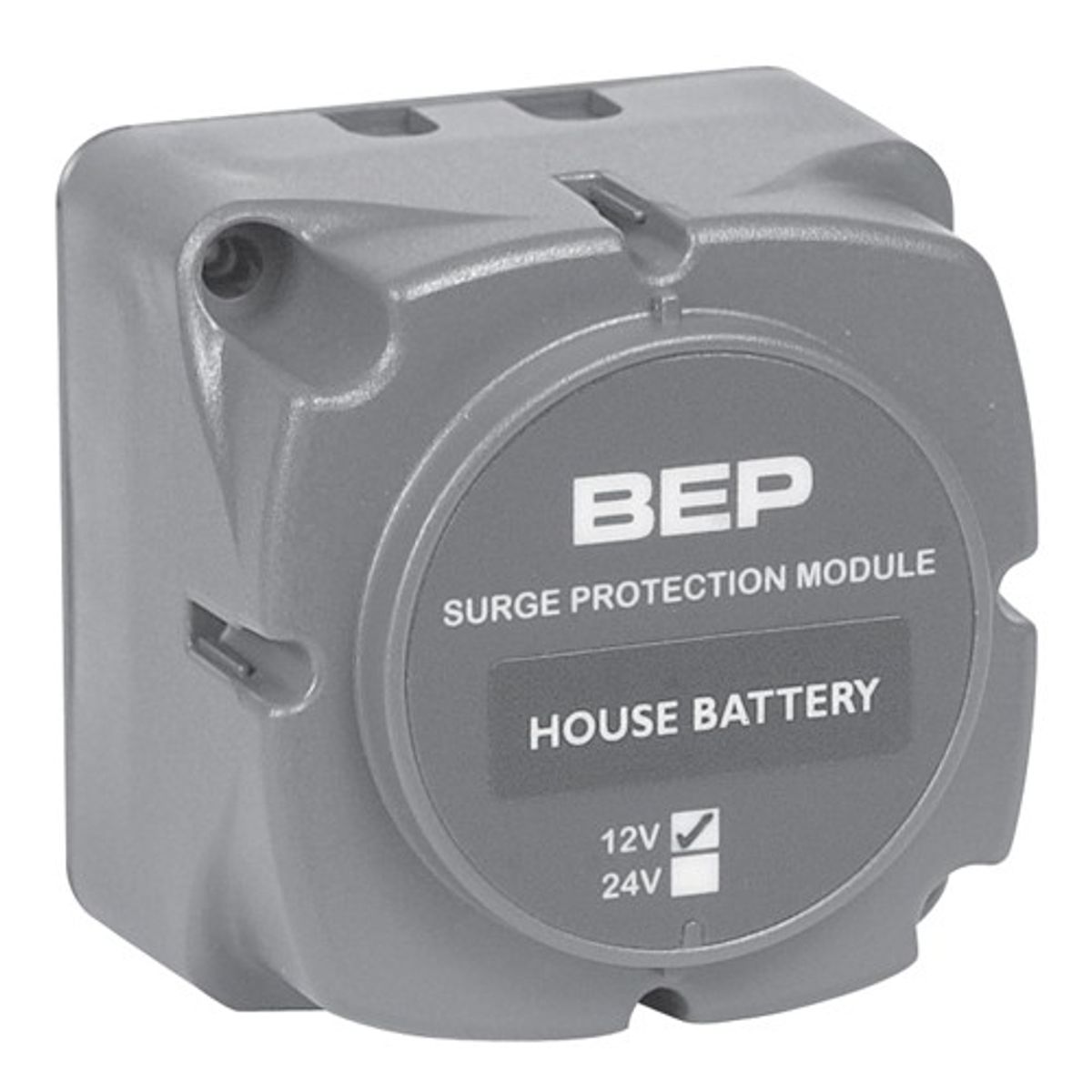BEP Surge Protection Module 24V DC