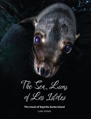 The Sea Lions of Los Islotes by Luke Inman