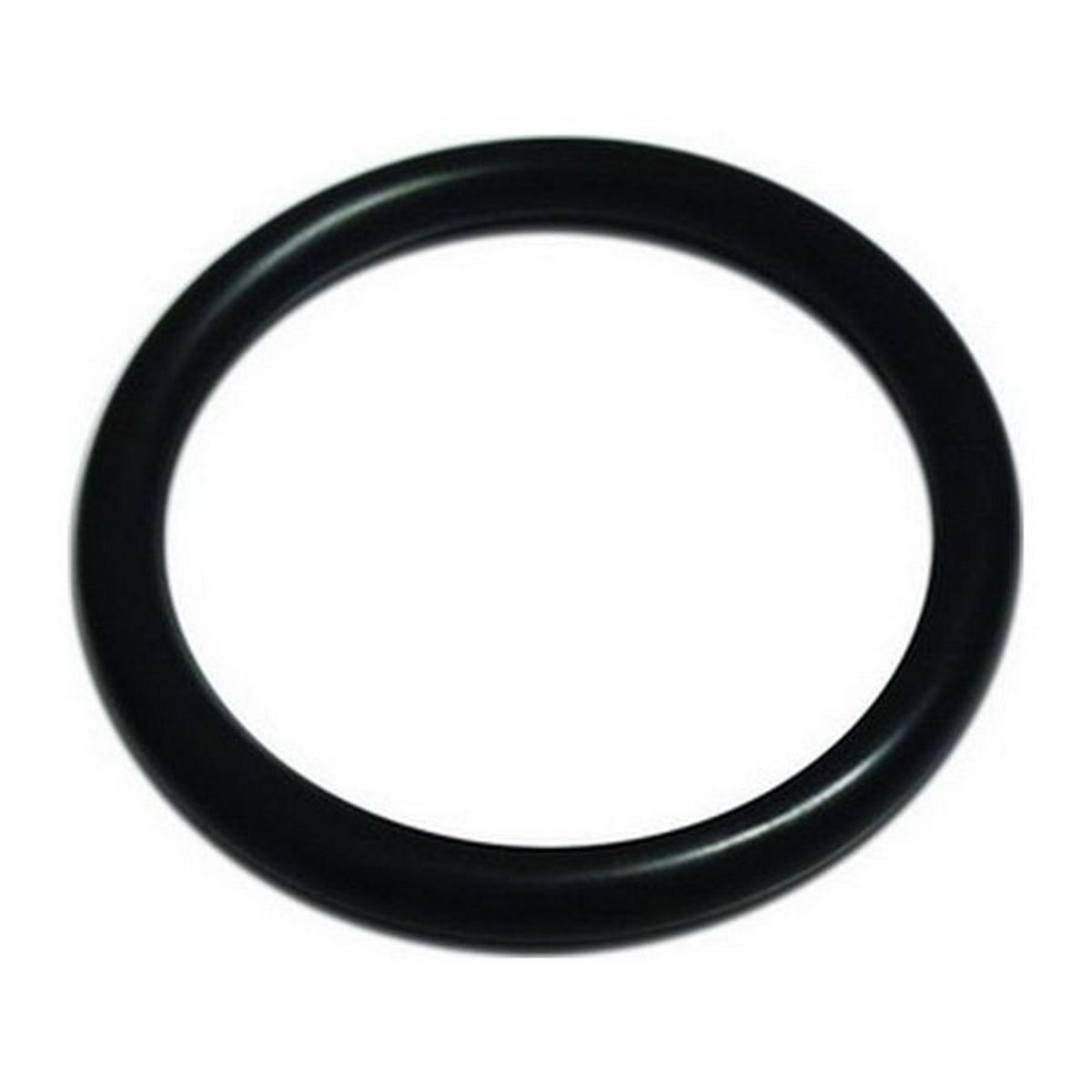 AG O-Ring for Large Pump Out Sockets