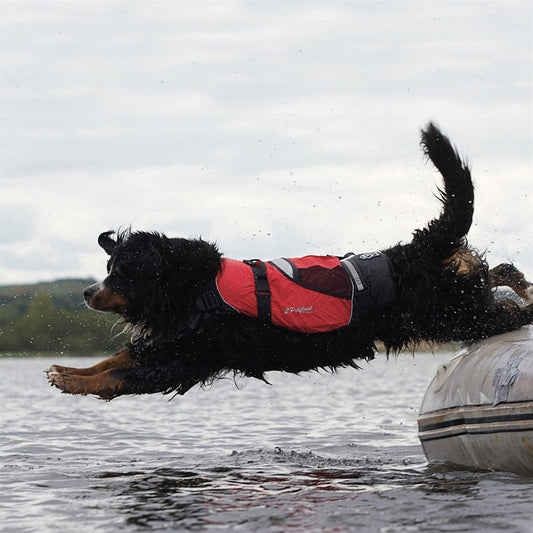 Crewsaver Pet Buoyancy Aid (Extra Large 22"-26") AL-081