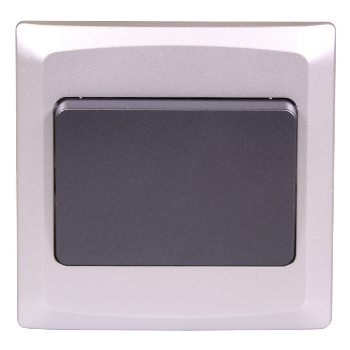 AG Single Light Switch in Silver and Charcoal (2-Way)