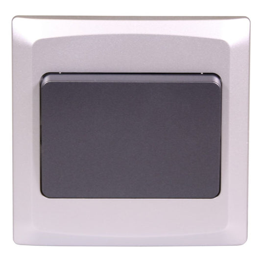 AG Single Light Switch in Silver and Charcoal (2-Way)