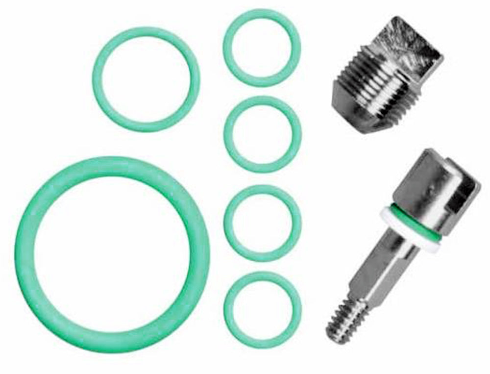 BTS Cylinder Valve Service Kit A16310640