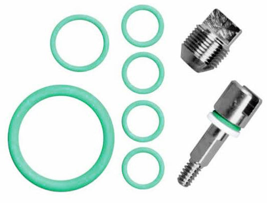 BTS Cylinder Valve Service Kit A16310640