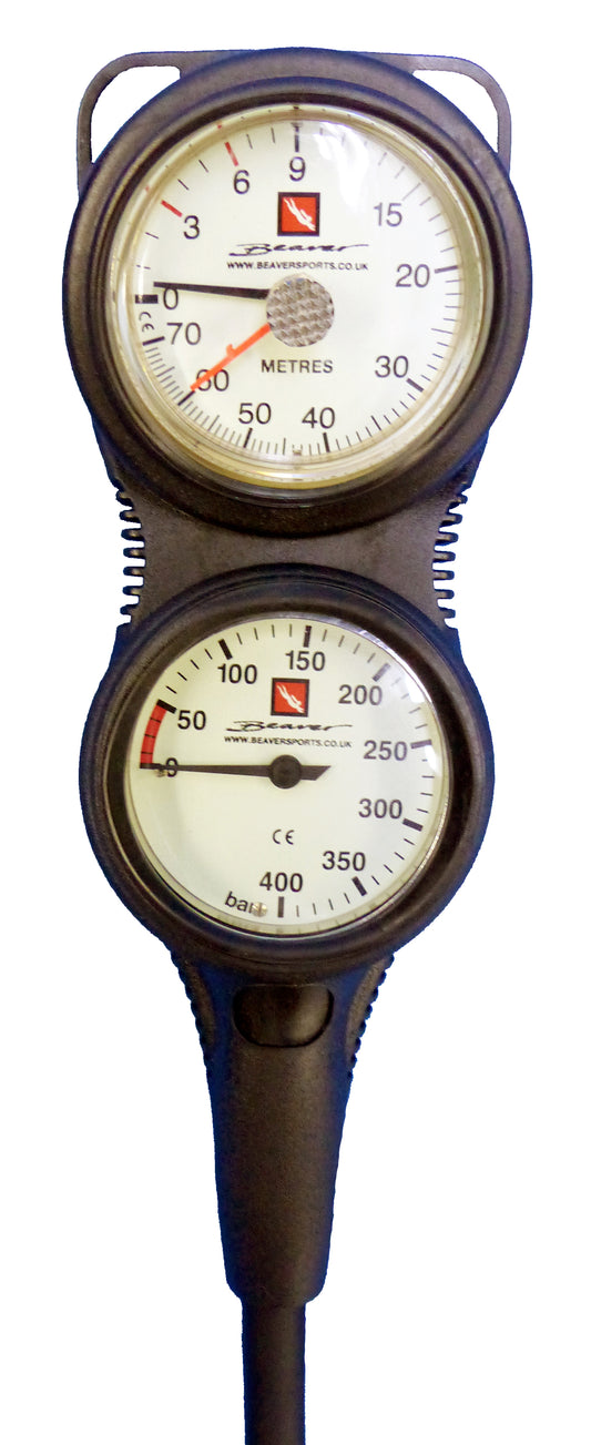 Beaver Sentinel Twin Console