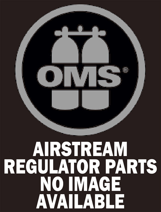 OMS Regulator Adjustment Shaft A13918035