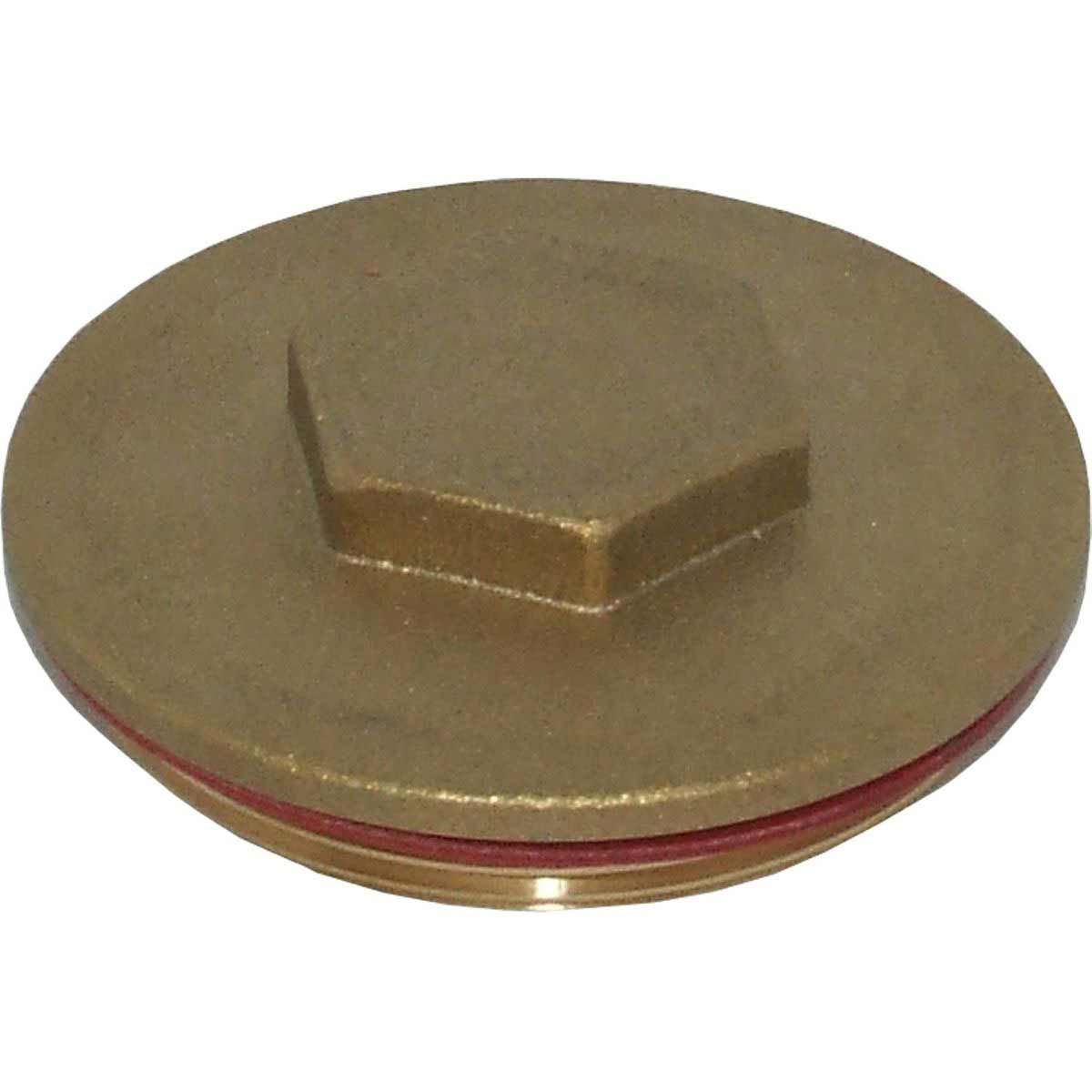Plug for Surecal Immersion Heater (2-1/4" BSP)