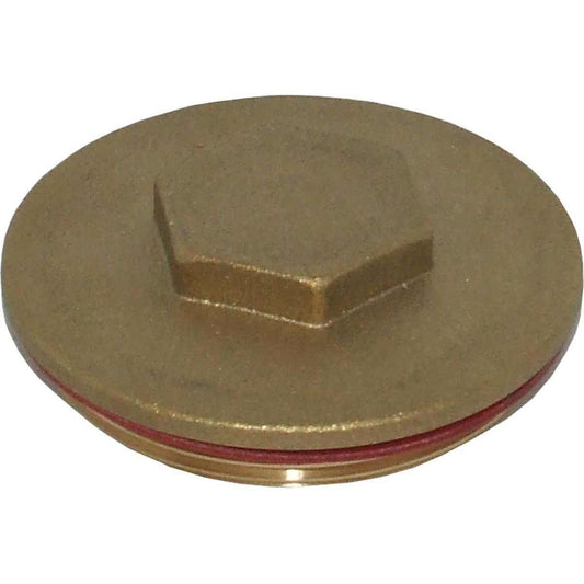 Plug for Surecal Immersion Heater (2-1/4" BSP)
