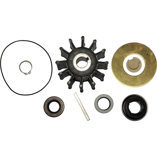 Sherwood Minor Repair Kit 23973 for Sherwood P1700 Series Engine Pumps SW23973