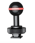 Divepro Cold Shoe ball Mount