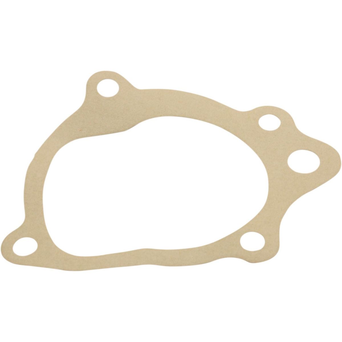 BMC Gasket for BMC 1.5 Water Pumps BMC-88G422