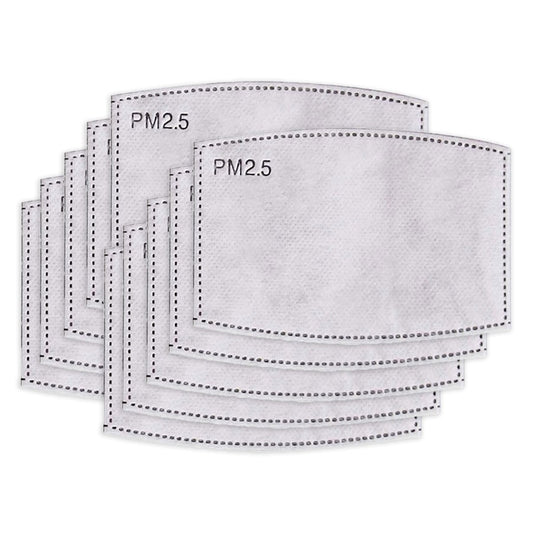 Fourth Element PM2.5 REMOVABLE FILTER 10 PACK