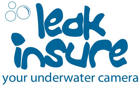  Leak Insure