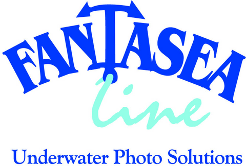  Fantasea