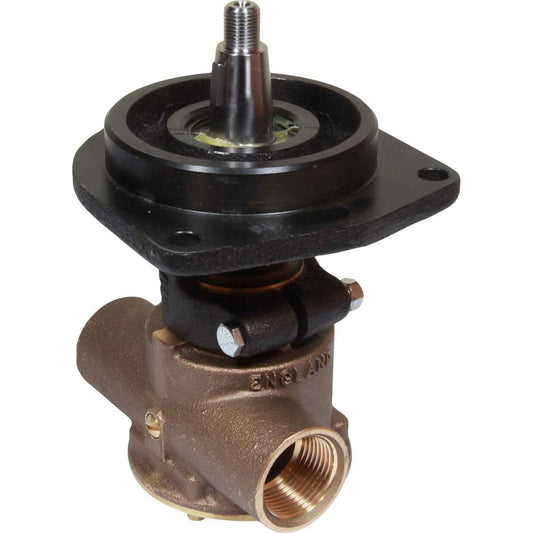 Jabsco Raw Water Pump (Ford / Flange Mounted / 1" Ports) JAB-21140-2401