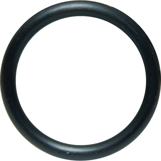 Jabsco Pump Shaft Seal O-ring for Jabsco Engine Cooling Pumps JAB-SP2000-21