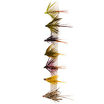 Snowbee Stillwater & General Fly Selection - SF110 Irish Lough Wets