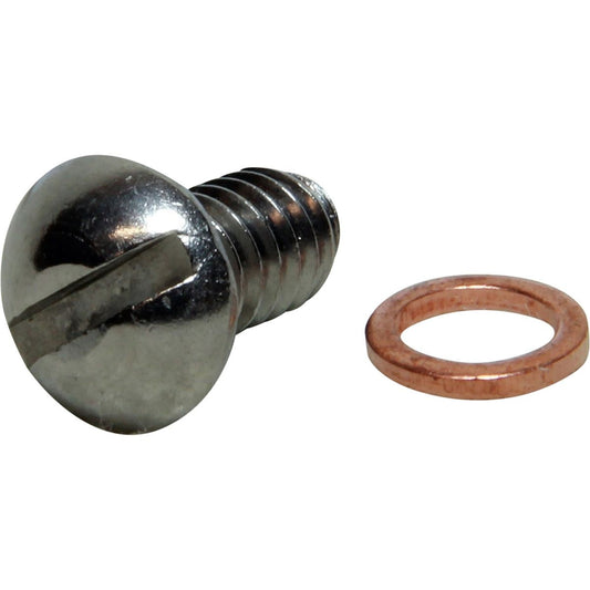 Sherwood Pump Cam Plate Screw and Washer 10515 SW10515