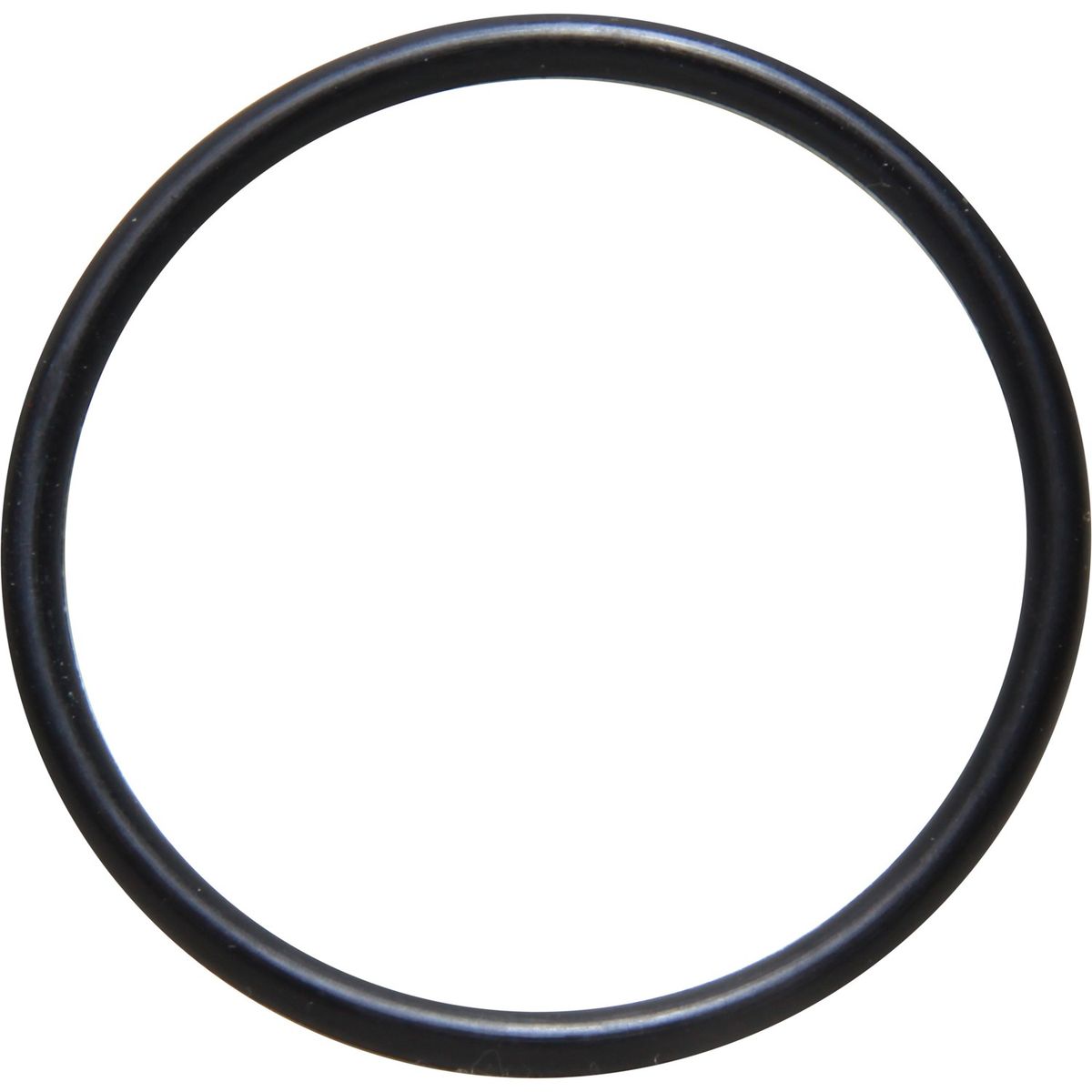 Sherwood Water Strainer O Ring (1/2" & 3/4") SW11805